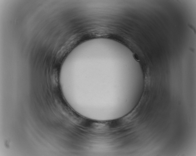 X0000103500170200809262022