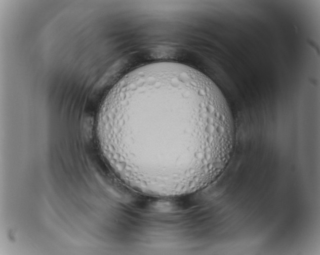 X0000103500171200809262022