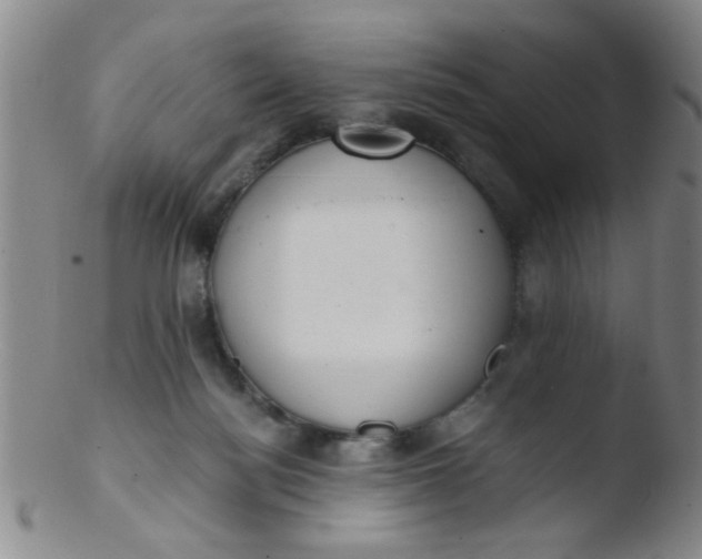 X0000103500172200809262022