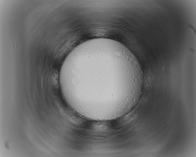 X0000103500175200809262022