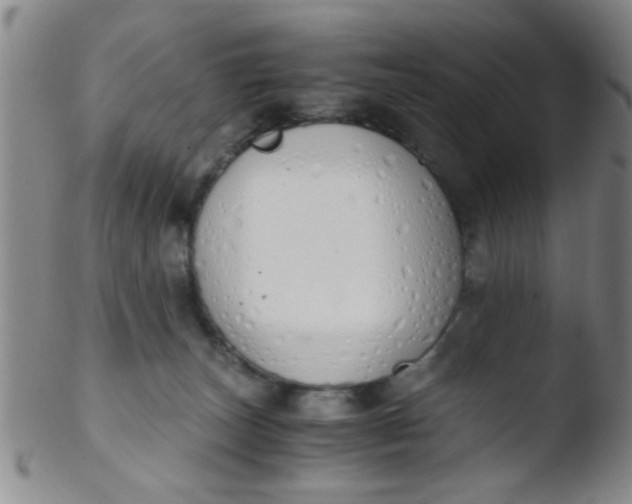 X0000103500179200809262022