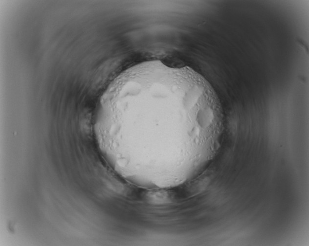 X0000103500181200809262022