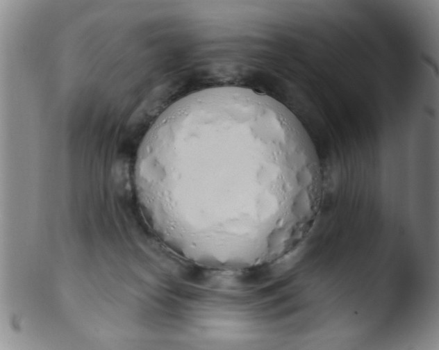 X0000103500182200809262022