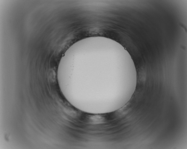 X0000103500183200809262022