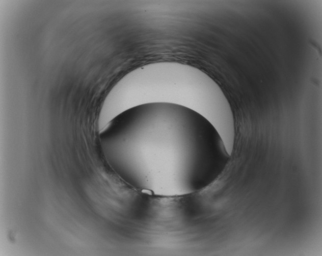 X0000103500184200809262022