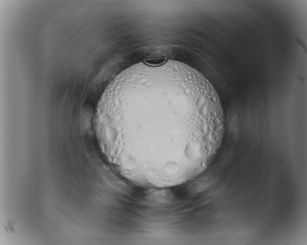 X0000103500185200809262022