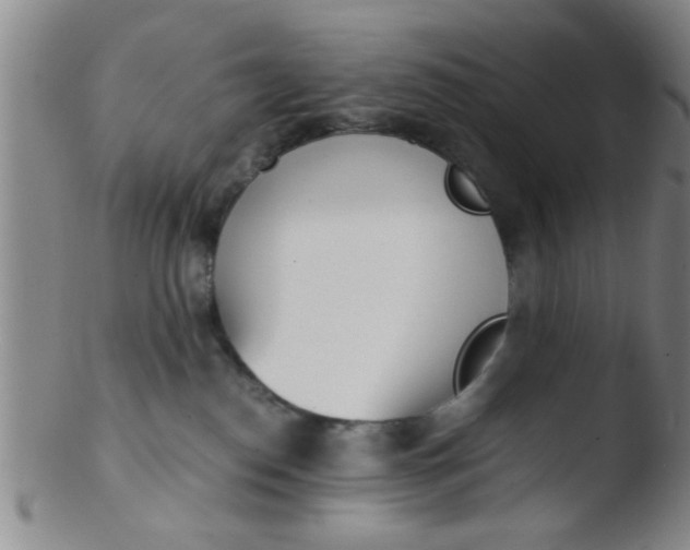 X0000103500186200809262022