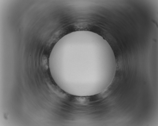 X0000103500187200809262022