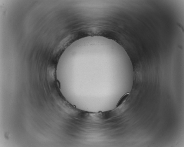 X0000103500188200809262022