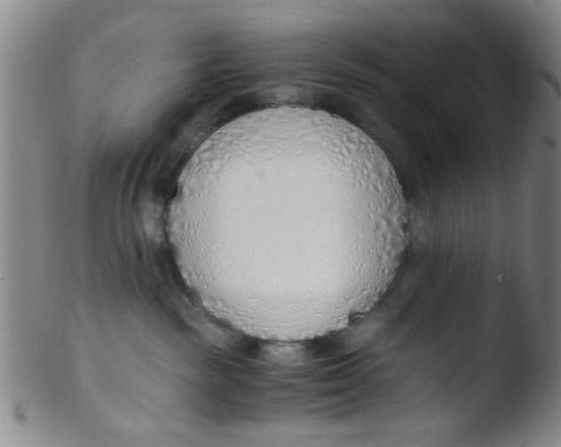 X0000103500189200809262022