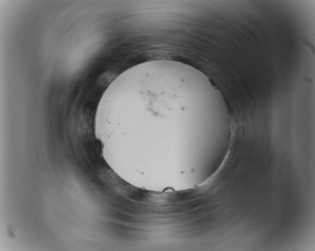 X0000103500190200809262022