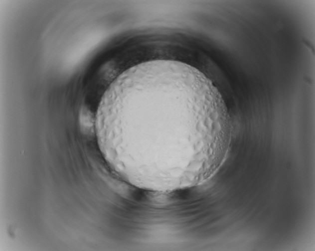 X0000103500191200809262022