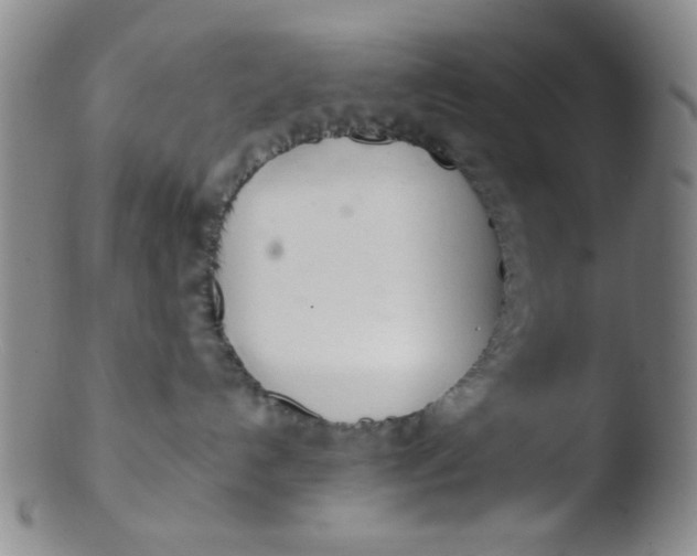 X0000103500192200809262022