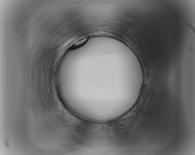 X0000103500193200809262021