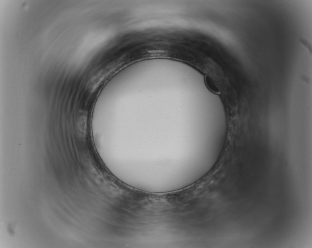 X0000103500194200809262021