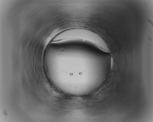 X0000103500195200809262021