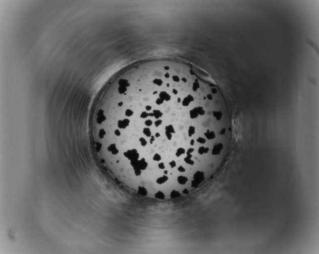 X0000103500196200809262021