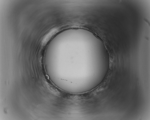 X0000103500197200809262021