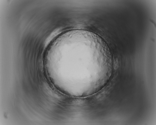 X0000103500198200809262021