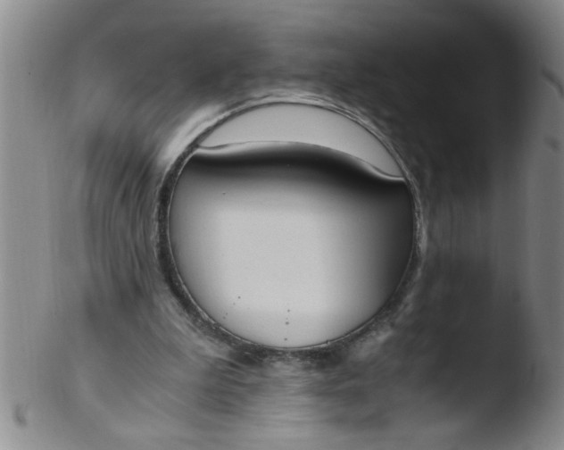 X0000103500199200809262021