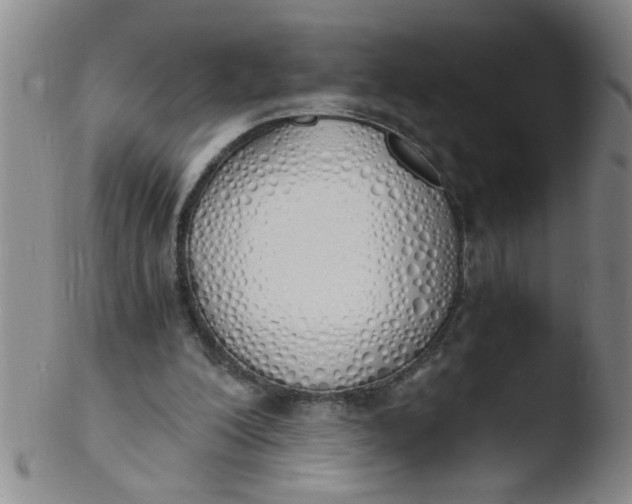 X0000103500200200809262021