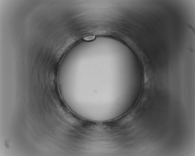 X0000103500201200809262021