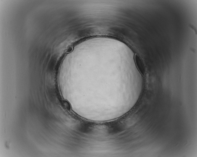 X0000103500203200809262021