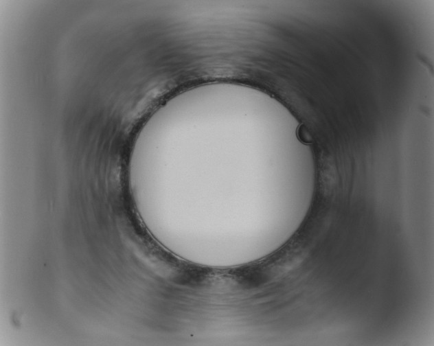 X0000103500207200809262021