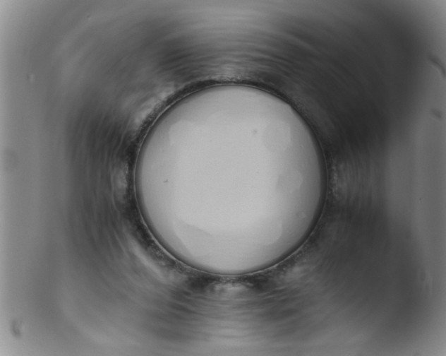 X0000103500208200809262021