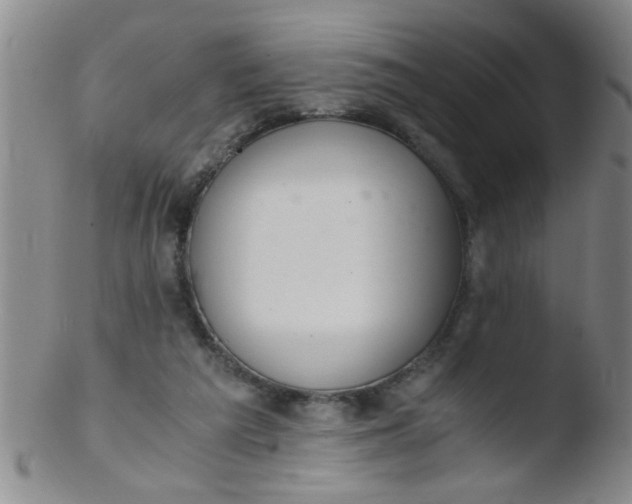 X0000103500209200809262021