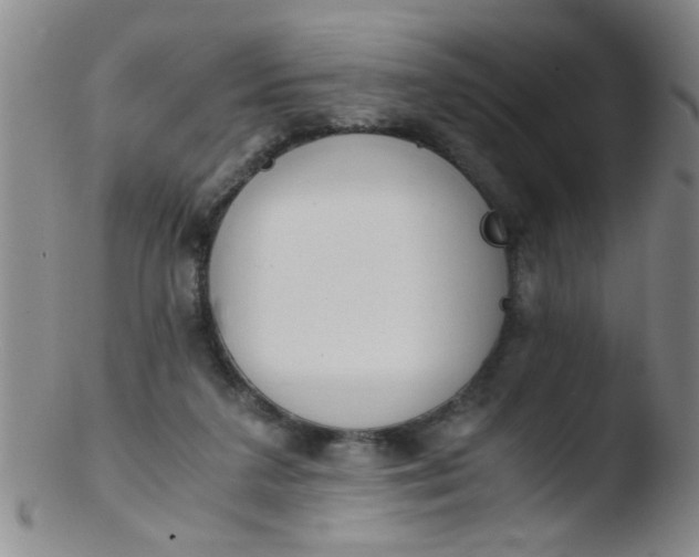 X0000103500211200809262021