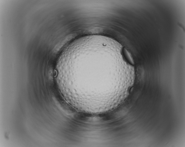 X0000103500212200809262021