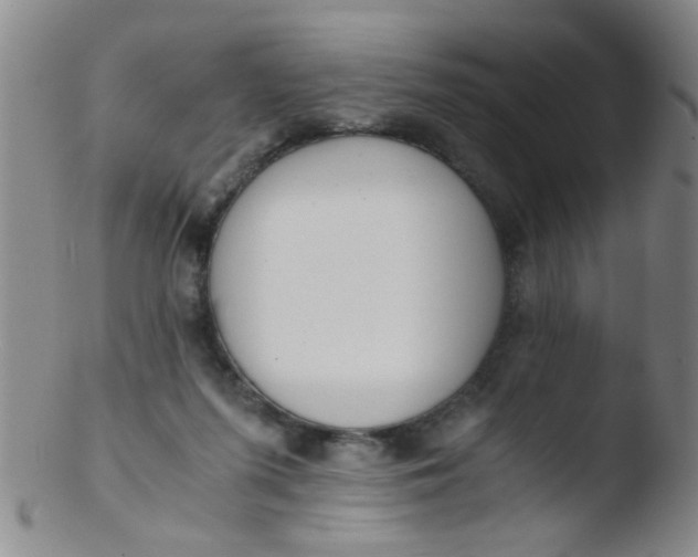 X0000103500215200809262021