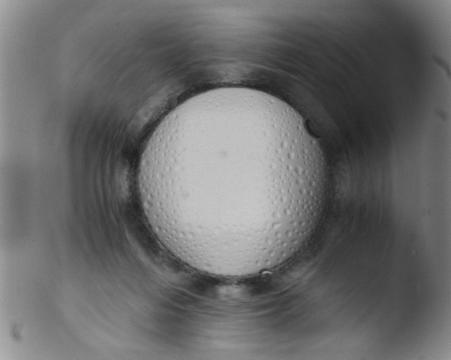 X0000103500216200809262021