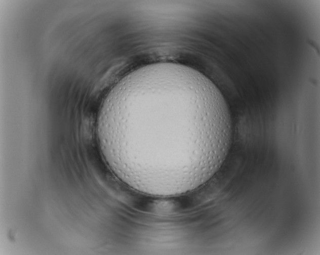 X0000103500218200809262021