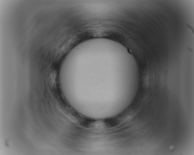 X0000103500219200809262021