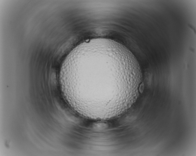 X0000103500220200809262021