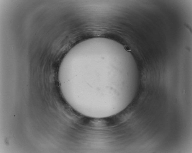 X0000103500221200809262021