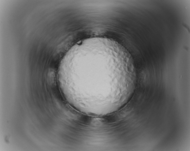 X0000103500222200809262021