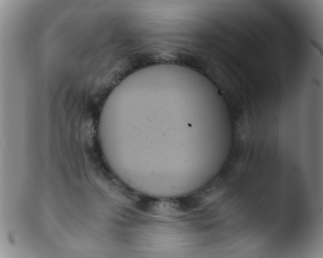 X0000103500223200809262021