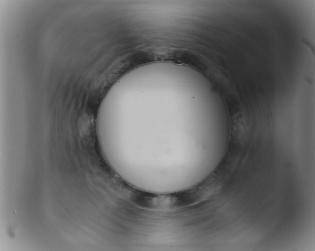 X0000103500225200809262021