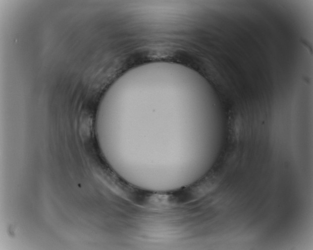 X0000103500227200809262021