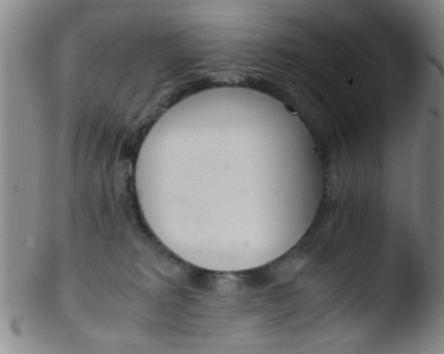 X0000103500229200809262021