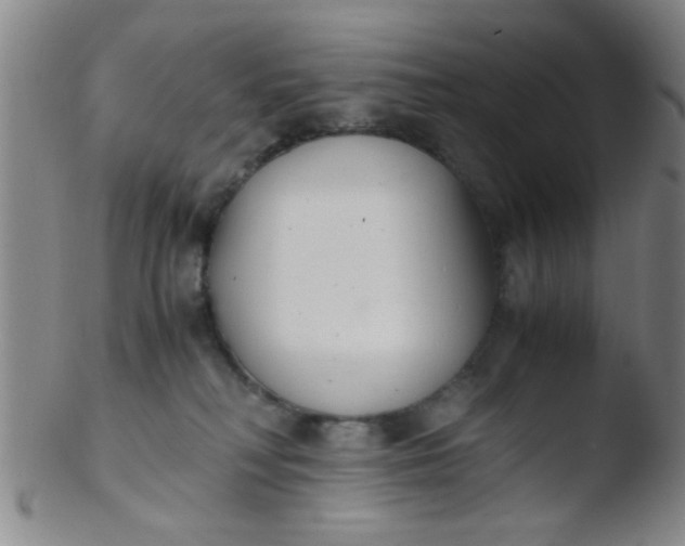 X0000103500230200809262021