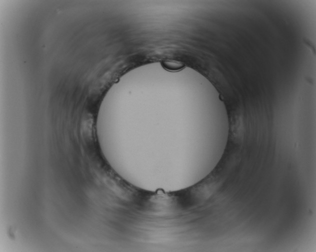 X0000103500231200809262021