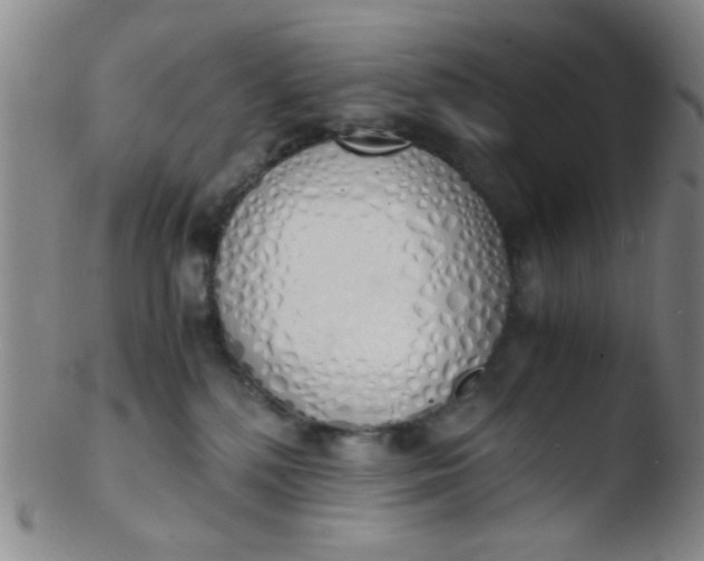 X0000103500232200809262021