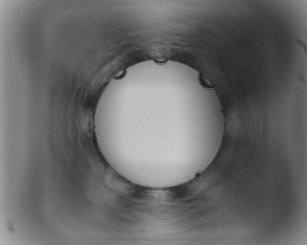 X0000103500233200809262021