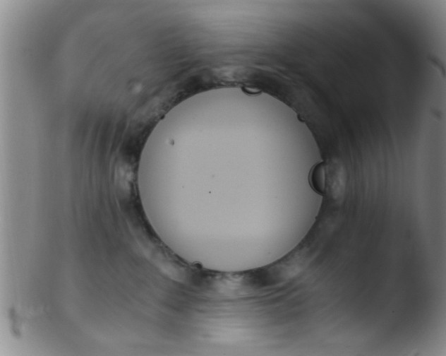 X0000103500235200809262021