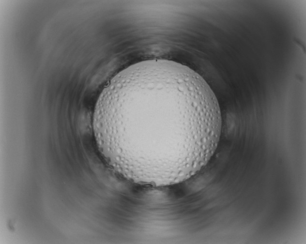 X0000103500236200809262021