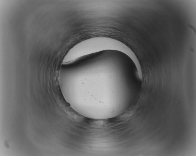 X0000103500237200809262021